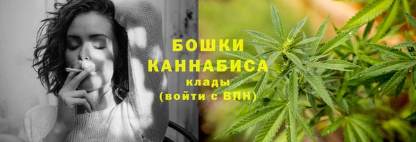 таблы Гусев