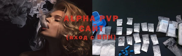таблы Гусев