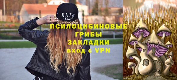 таблы Гусев