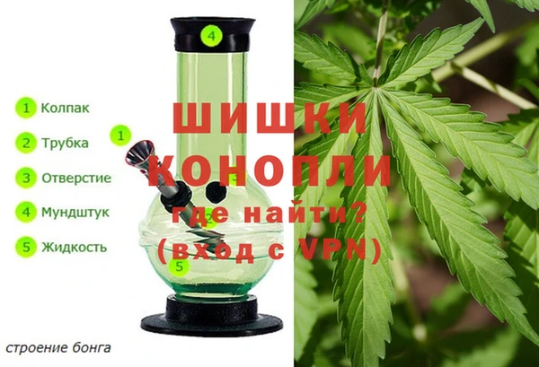 таблы Гусев