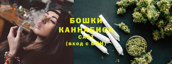 таблы Гусев