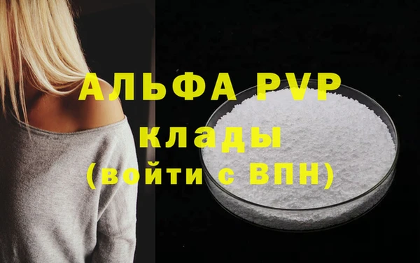 Альфа ПВП Гусиноозёрск