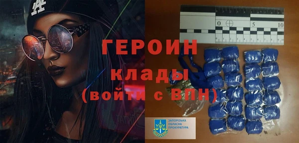 индика Дмитров