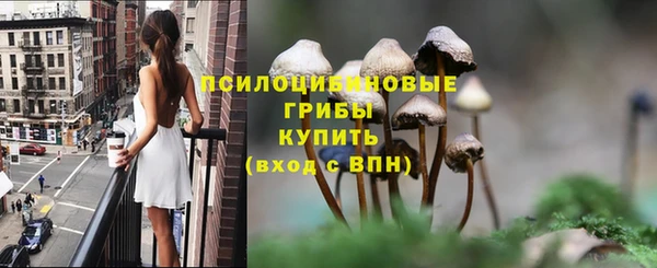 индика Дмитров
